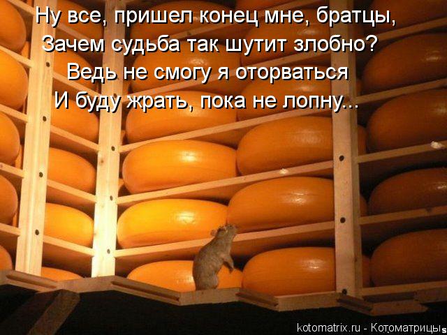 Ну все, пришел конец мне, братцы, Зачем судьба так шутит злобно? Ведь не смогу я оторваться И буду жр... Котоматрица: Ну все, пришел конец мне, братцы, Зачем судьба так шутит злобно? Ведь не смогу я оторваться И буду жрать, пока не лопну...