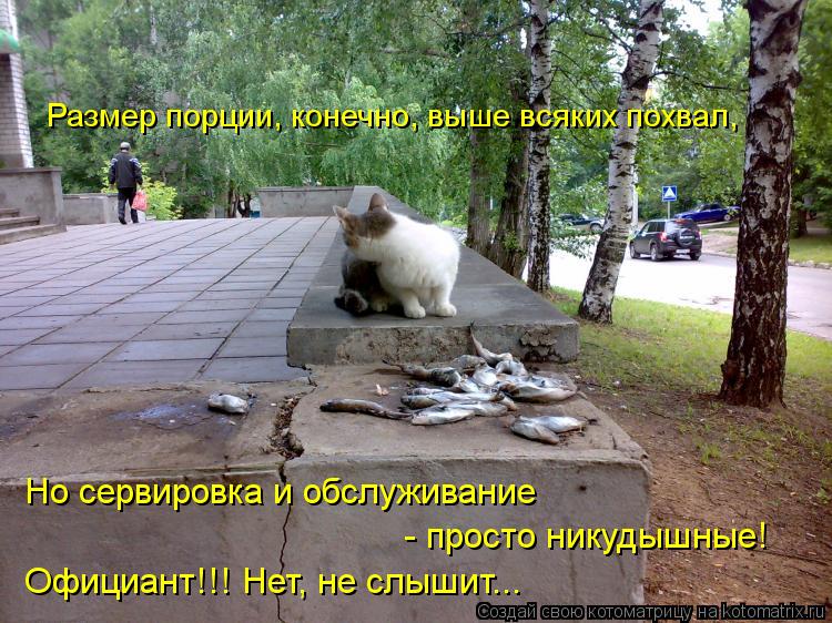 Котоматрица: Размер порции, конечно, выше всяких похвал, Но сервировка и обслуживание  - просто никудышные! Официант!!! Нет, не слышит...