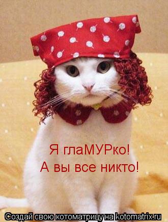 Котоматрица: Я глаМУРко! А вы все никто!