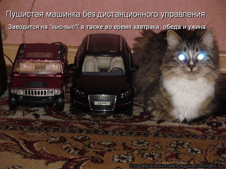 Котоматрица: Пушистая машинка без дистанционного управления Заводится на "кыс-кыс"! а также во время завтрака, обеда и ужина