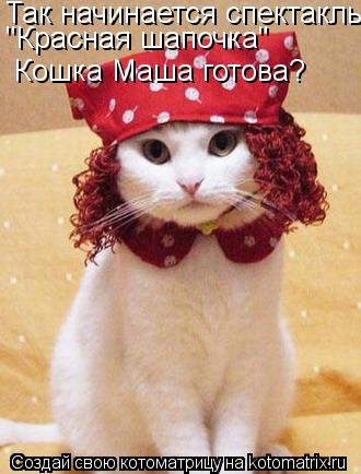 Котоматрица: Так начинается спектакль  "Красная шапочка" Кошка Маша готова?