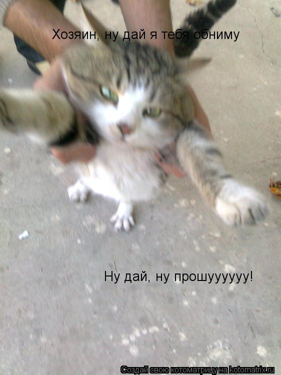 Хозяин, ну дай я тебя обниму Ну дай, ну прошуууууу!... Котоматрица: Хозяин, ну дай я тебя обниму Ну дай, ну прошуууууу!