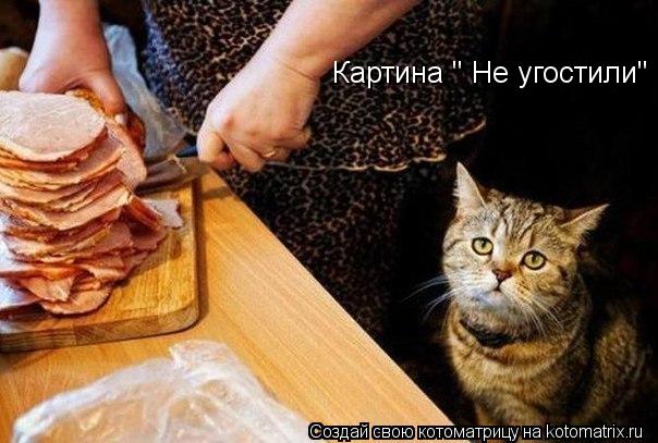 Котоматрица: Картина " Не угостили"