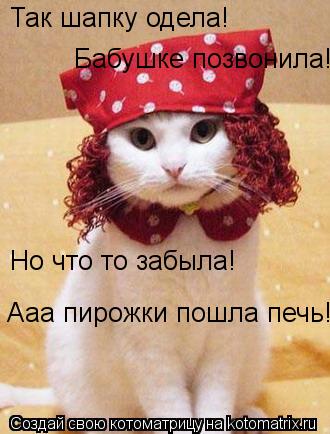 Котоматрица: Так шапку одела!  Бабушке позвонила!  Но что то забыла!  Ааа пирожки пошла печь!
