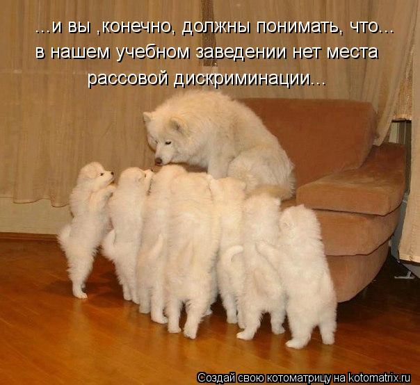 Котоматрица: в нашем учебном заведении нет места рассовой дискриминации... ...и вы ,конечно, должны понимать, что...