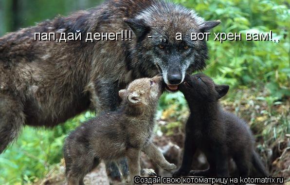 Котоматрица: пап,дай денег!!!    -  ,,  а  вот хрен вам!,,