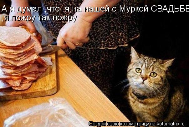 А я думал ,что я на нашей с Муркой СВАДЬБЕ ,я пожру так пожру... Котоматрица: А я думал ,что я на нашей с Муркой СВАДЬБЕ ,я пожру так пожру