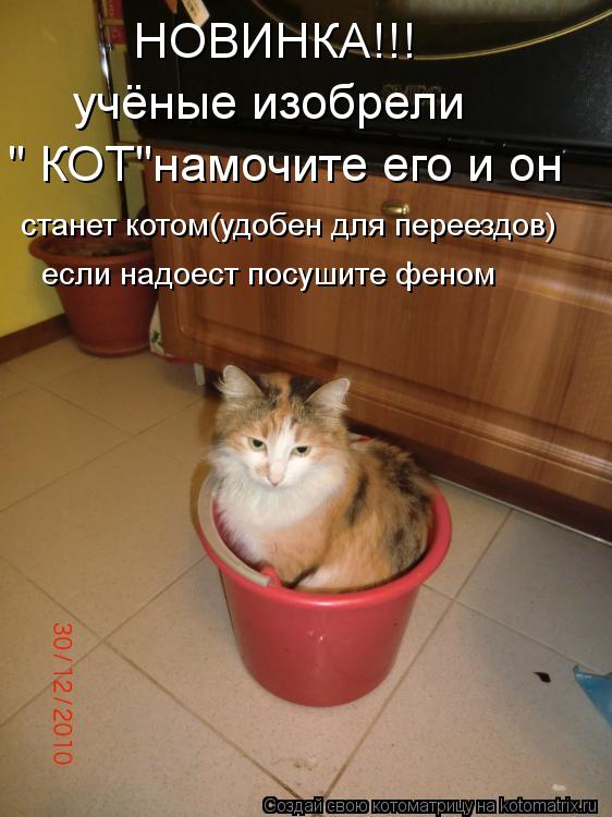 Котоматрица: НОВИНКА!!! учёные изобрели  " КОТ"намочите его и он станет котом(удобен для переездов) если надоест посушите феном