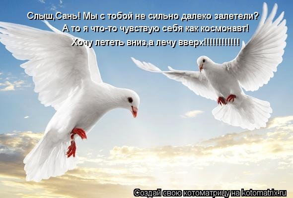 Слыш,Сань! Мы с тобой не сильно далеко залетели? А то я что-то чувствую себя как космонавт! Хочу лете... Котоматрица: Слыш,Сань! Мы с тобой не сильно далеко залетели? А то я что-то чувствую себя как космонавт! Хочу лететь вниз,а лечу вверх!!!!!!!!!!!!
