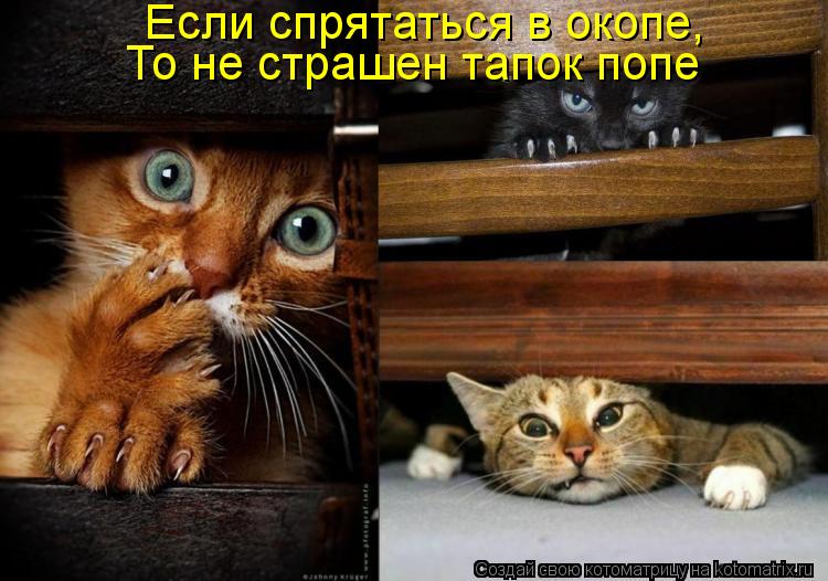 Если спрятаться в окопе, То не страшен тапок попе... Котоматрица: Если спрятаться в окопе, То не страшен тапок попе