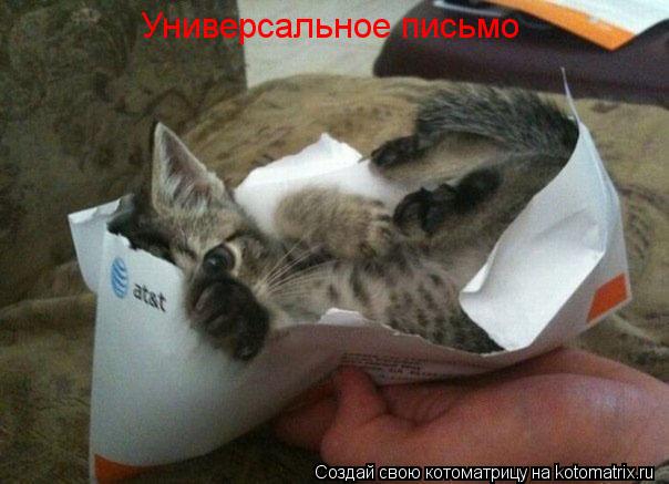 Котоматрица: Универсальное письмо
