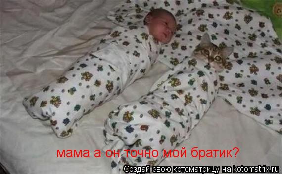 Котоматрица: мама а он точно мой братик?