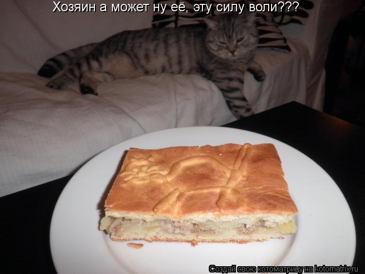 Котоматрица: Хозяин а может ну её, эту силу воли???