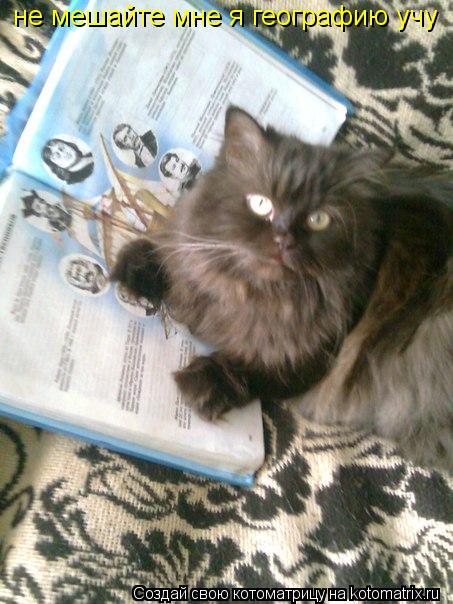 Котоматрица: не мешайте мне я географию учу