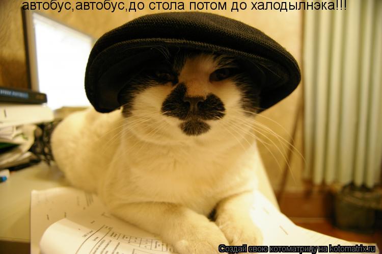 Котоматрица: автобус,автобус,до стола потом до халодылнэка!!!