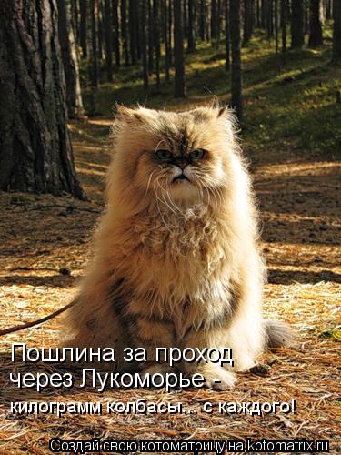 Котоматрица: Пошлина за проход  через Лукоморье - килограмм колбасы... с каждого!