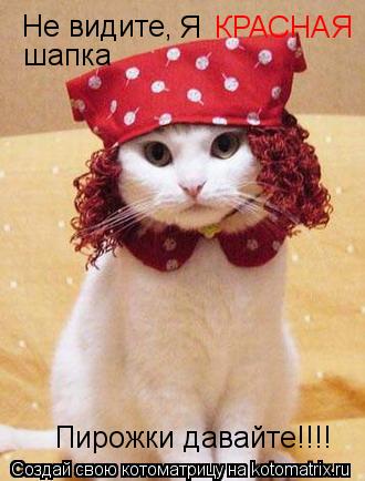 Котоматрица: Не видите, Я  КРАСНАЯ шапка Пирожки давайте!!!!