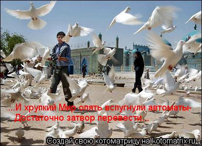 Котоматрица: ...И хрупкий Мир опять вспугнули автоматы- Достаточно затвор перевести...
