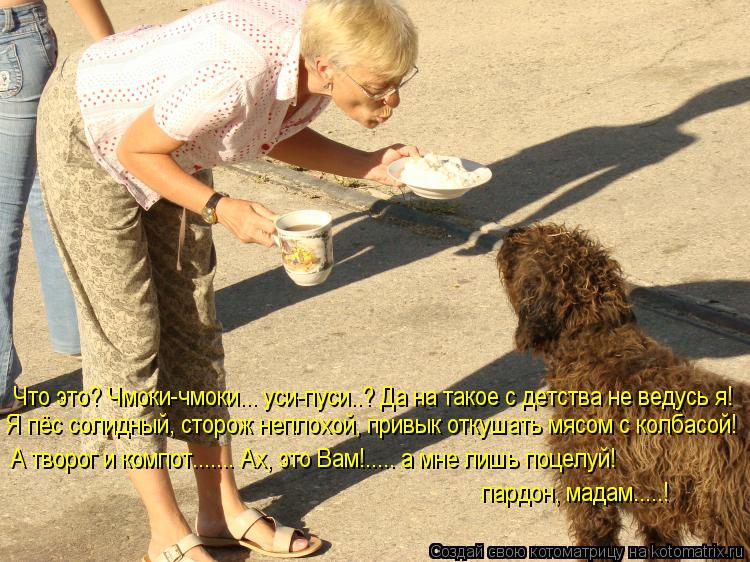 Котоматрица: Что это? Чмоки-чмоки... уси-пуси..? Да на такое с детства не ведусь я! Я пёс солидный, сторож неплохой, привык откушать мясом с колбасой! А творо