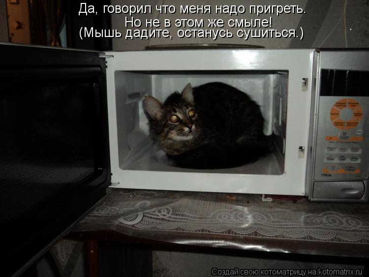 Котоматрица: Да, говорил что меня надо пригреть. Но не в этом же смыле! (Мышь дадите, останусь сушиться.)