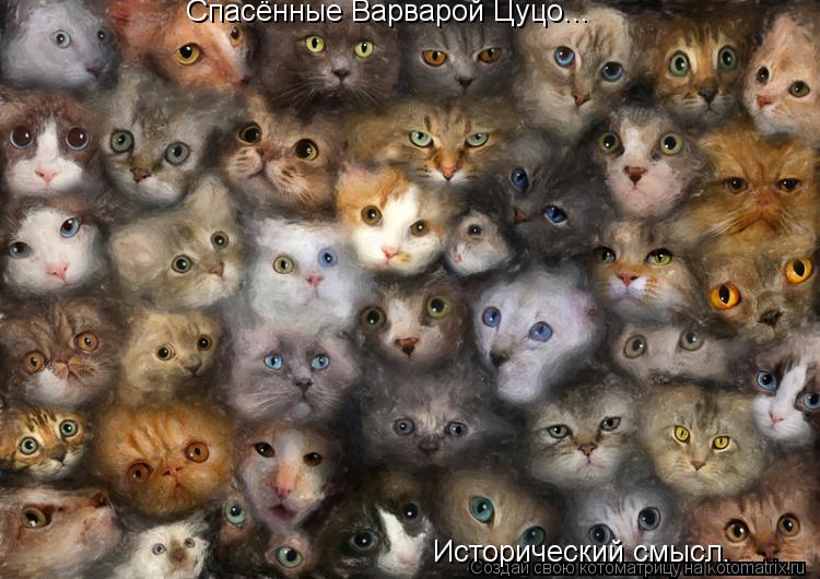 Котоматрица: Спасённые Варварой Цуцо... Исторический смысл.