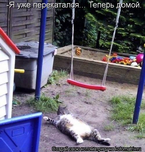 Котоматрица: -Я уже перекатался... Теперь домой.