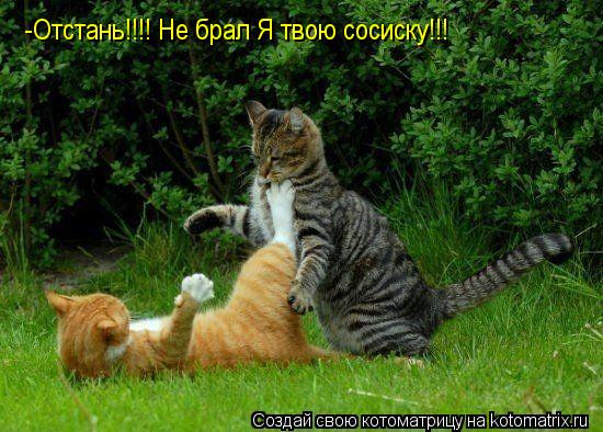 Котоматрица: -Отстань!!!! Не брал Я твою сосиску!!!