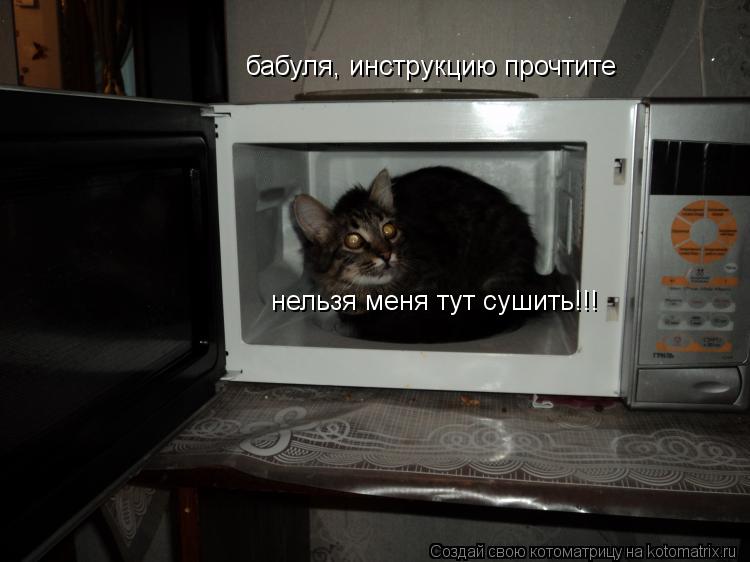 Котоматрица: бабуля, инструкцию прочтите нельзя меня тут сушить!!!