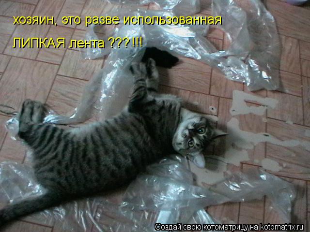Котоматрица: хозяин, это разве использованная  ЛИПКАЯ лента ??? !!!