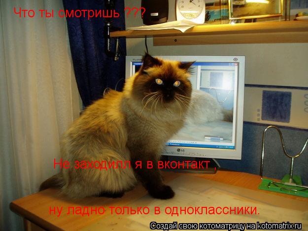 Котоматрица: Что ты смотришь ??? Не заходилл я в вконтакт , ну ладно только в одноклассники.