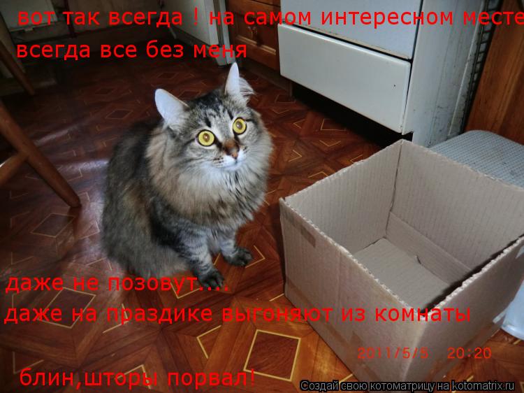 Котоматрица: вот так всегда ! на самом интересном месте! всегда все без меня даже не позовут.... даже на праздике выгоняют из комнаты блин,шторы порвал!