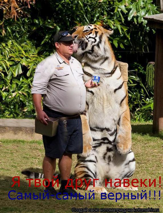 Котоматрица: Я твой друг навеки! Самый-самый верный!!!