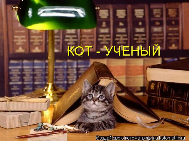 КОТ - УЧЕНЫЙ... Котоматрица: КОТ - УЧЕНЫЙ