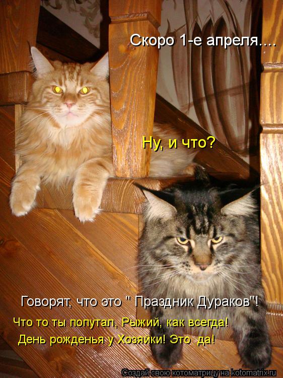 Ну, и что? Скоро 1-е апреля.... Говорят, что это " Праздник Дураков"! Что то ты попутал, Рыжий, как в... Котоматрица: Ну, и что? Скоро 1-е апреля.... Говорят, что это " Праздник Дураков"! Что то ты попутал, Рыжий, как всегда! День рожденья у Хозяйки! Это да!