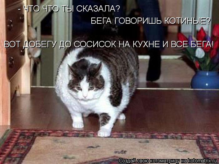 - ЧТО ЧТО ТЫ СКАЗАЛА? БЕГА ГОВОРИШЬ КОТИНЫЕ? БЕГА ГОВОРИШЬ КОТИНЫЕ? ВОТ ДОБЕГУ ДО СОСИСОК НА КУХНЕ И ... Котоматрица: - ЧТО ЧТО ТЫ СКАЗАЛА? БЕГА ГОВОРИШЬ КОТИНЫЕ? БЕГА ГОВОРИШЬ КОТИНЫЕ? ВОТ ДОБЕГУ ДО СОСИСОК НА КУХНЕ И ВСЕ БЕГА! ВОТ ДОБЕГУ ДО СОСИСОК НА КУХНЕ И