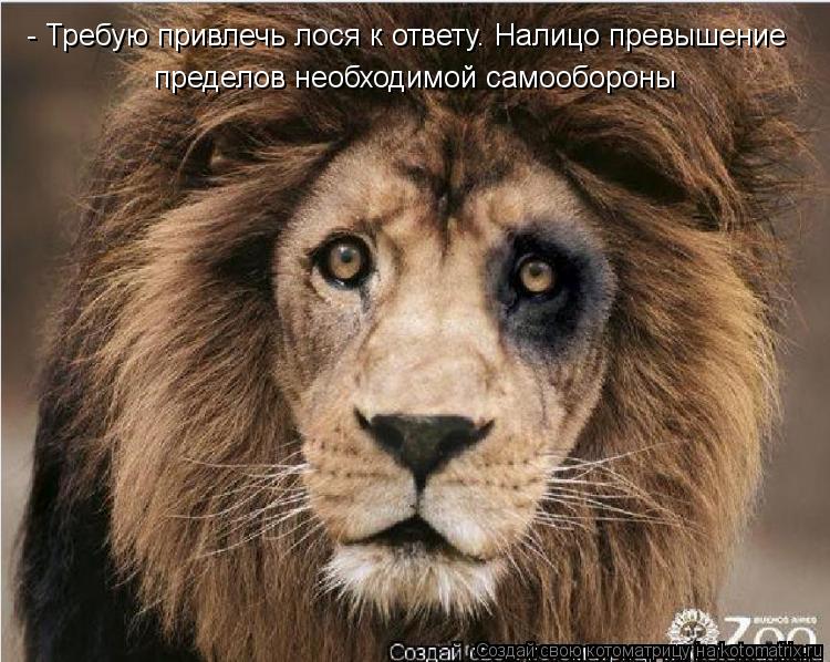 - Требую привлечь лося к ответу. Налицо превышение пределов необходимой самообороны... Котоматрица: - Требую привлечь лося к ответу. Налицо превышение пределов необходимой самообороны