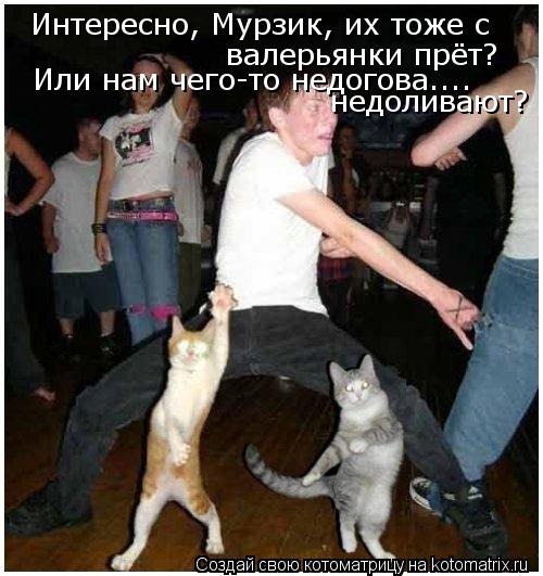 Котоматрица: Интересно, Мурзик, их тоже с валерьянки прёт? Или нам чего-то недогова....  недоливают?