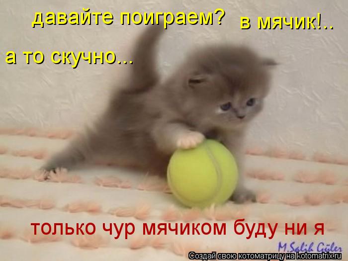 Котоматрица: давайте поиграем? в мячик!.. а то скучно... только чур мячиком буду ни я
