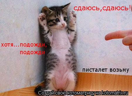 Котоматрица: сдаюсь,сдаюсь! хотя...подожди, подожди писталет возьму
