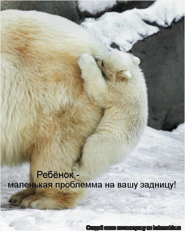 Котоматрица: Ребёнок -  маленькая проблемма на вашу задницу!