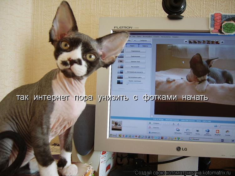 Котоматрица: так  интернет  пора  унизить  с  фотками  начать