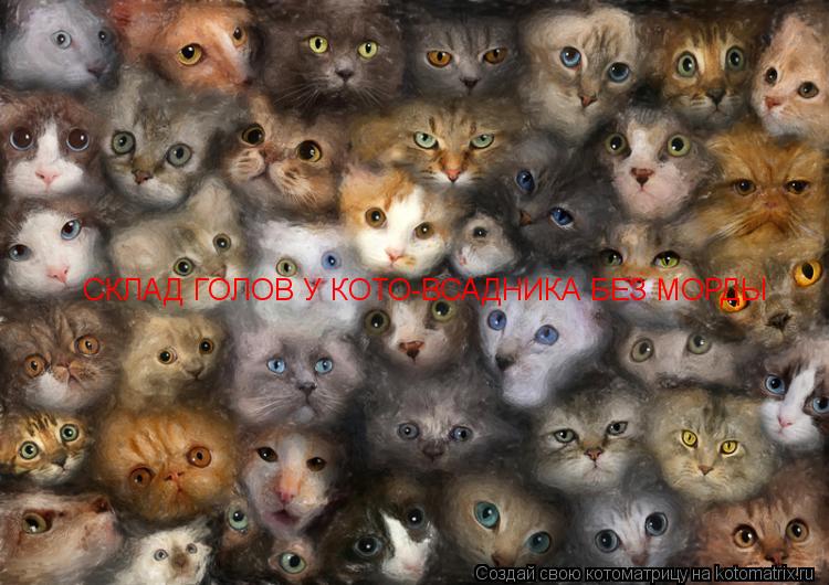Котоматрица: СКЛАД ГОЛОВ У КОТО-ВСАДНИКА БЕЗ МОРДЫ