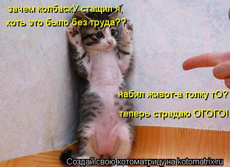 Котоматрица: зачем колбаскУ стащил я, хоть это было без труда?? теперь страдаю ОГОГО! набил живот-а толку тО?