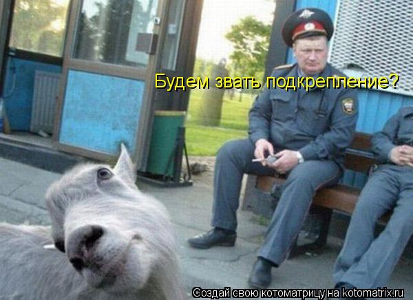 Котоматрица: Будем звать подкрепление?