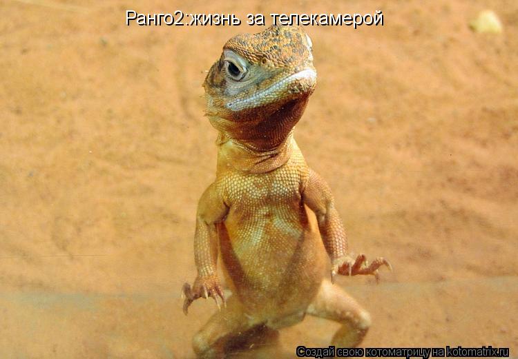 Котоматрица: Ранго2:жизнь за телекамерой