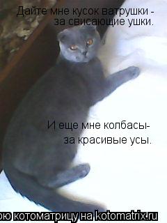 Котоматрица: Дайте мне кусок ватрушки - за свисающие ушки. И еще мне колбасы- за красивые усы.