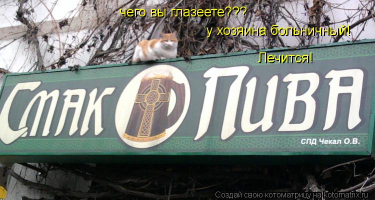 Котоматрица: чего вы глазеете??? у хозяина больничный! Лечится!