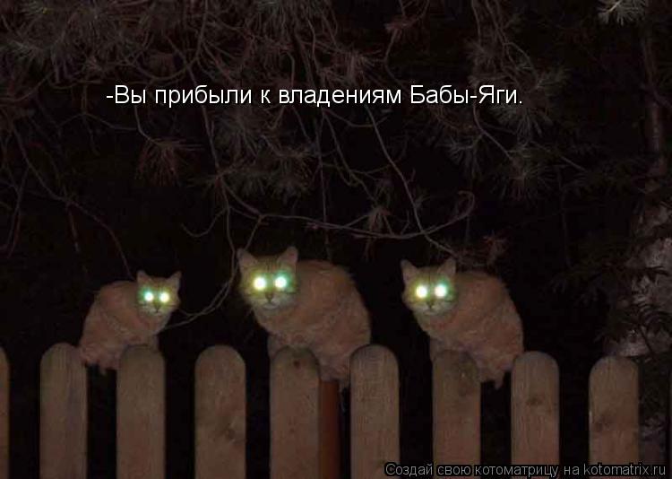 Котоматрица: -Вы прибыли к владениям Бабы-Яги.