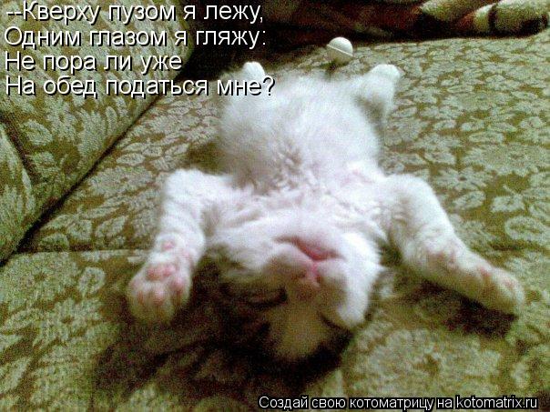 Котоматрица: --Кверху пузом я лежу, Одним глазом я гляжу: Не пора ли уже На обед податься мне?