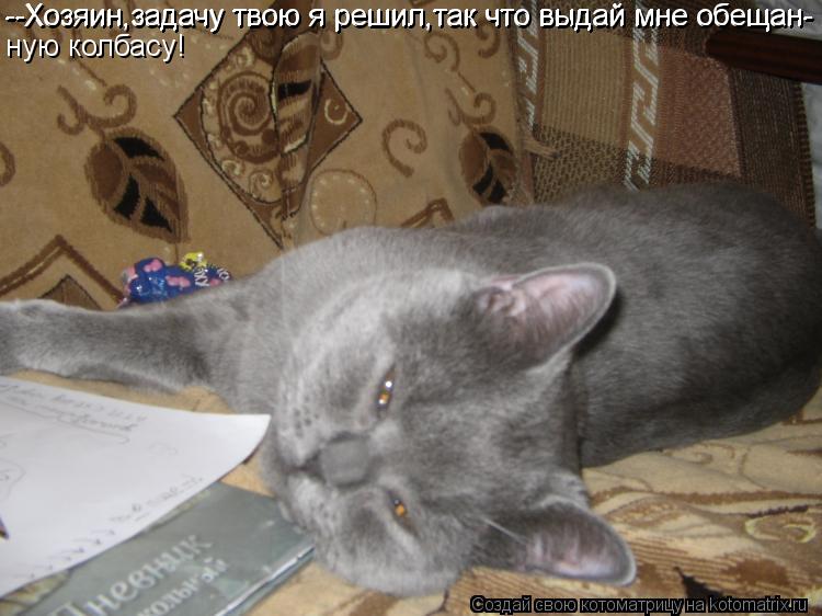 Котоматрица: --Хозяин,задачу твою я решил,так что выдай мне обещан- --Хозяин,задачу твою я решил,так что выдай мне обещан- ную колбасу!